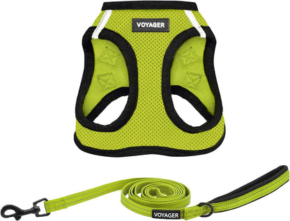 Best Pet Supplies Voyager Step-In Air All Weather Mesh Harness and Reflective Dog 5Ft Leash Combo with Neoprene Handle, for Small, Medium and Large Breed Puppies - Baby Blue, Small13