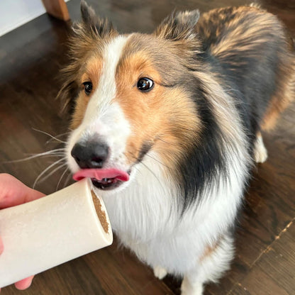 Cadet Stuffed Shin Bone, Long-Lasting Dog Chew Bones for Aggressive Chewers, High Protein Filled Bone Dental Chew for Dogs, Peanut Butter Flavor Filling, 3-4" for Small Dogs, 3 Pack6