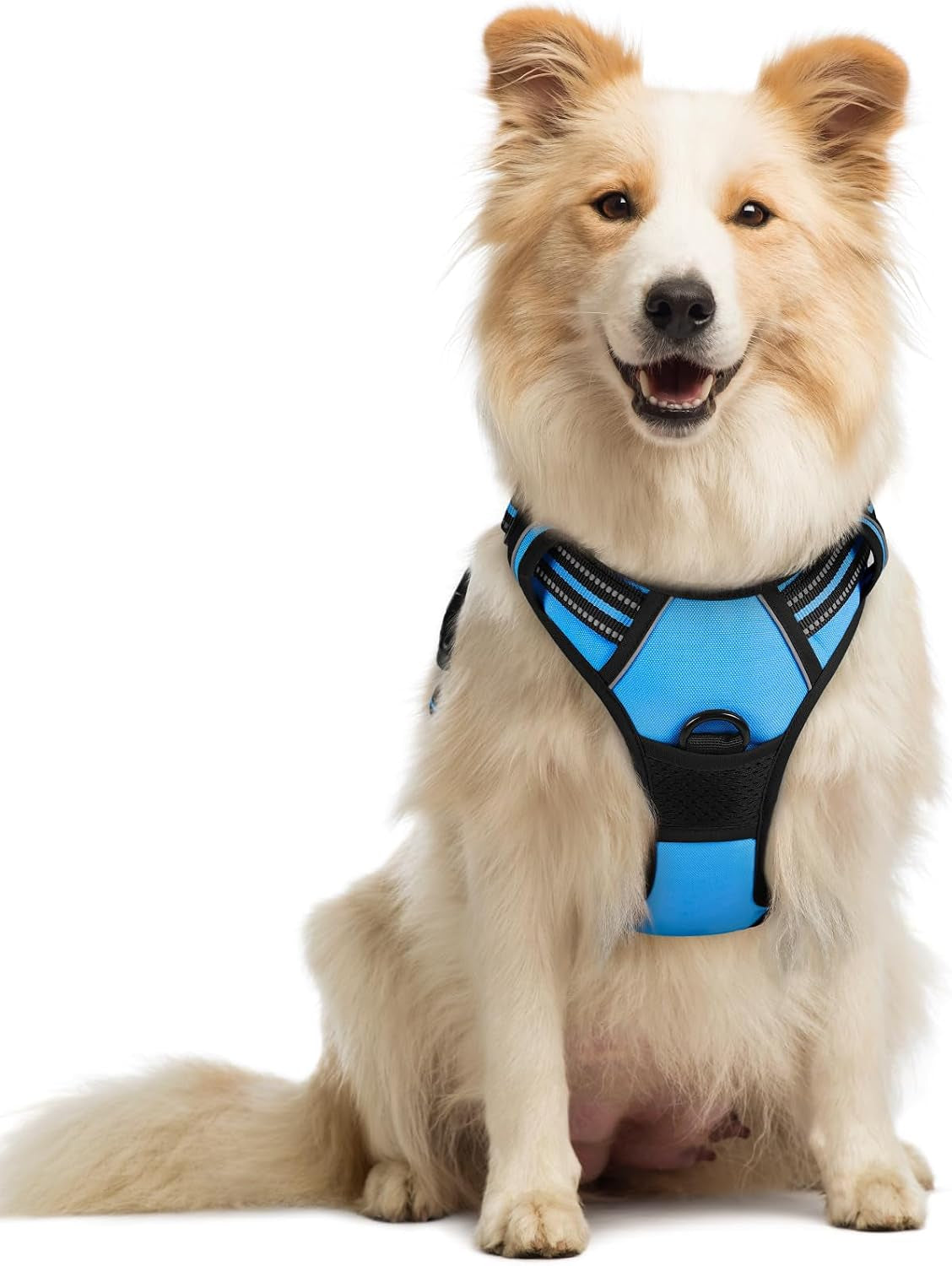 rabbitgoo-dog-harness-no-pull-for-large-dogs-with-2-leash-clips-pet-vest-no-choke-with-handle-adjustable-soft-padded-reflective-easy-control-for-walking-black-large