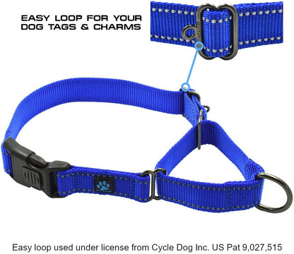 Max and Neo Nylon Martingale Collar - We Donate to a Dog Rescue for Every Collar Sold (Medium, Orange)2