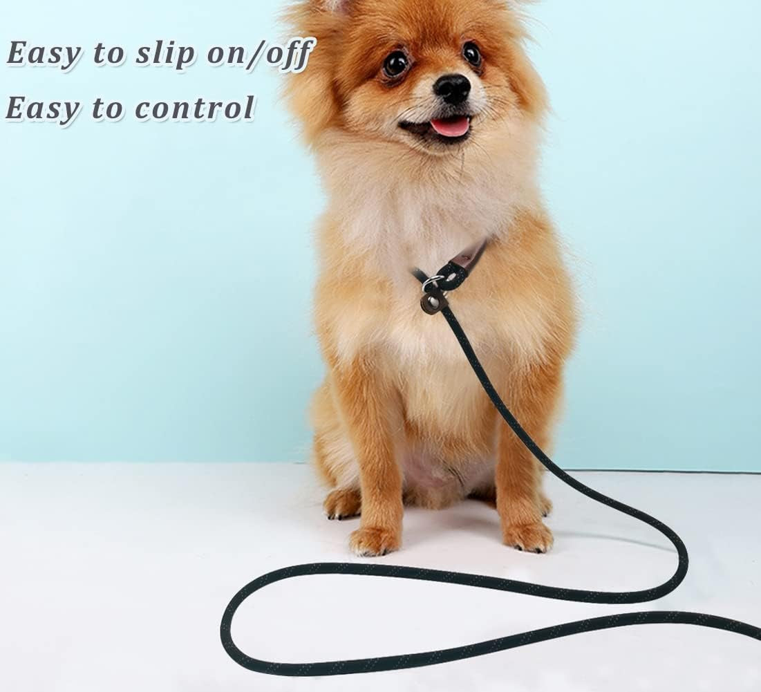 wyuze-8ft-slip-lead-dog-leash-adjustable-slip-collar-puppy-training-lead-2-pack-1-3-reflective-rope-leash-lightweight-easy-use-for-small-medium-dogs-no-pull-walking-black-orange
