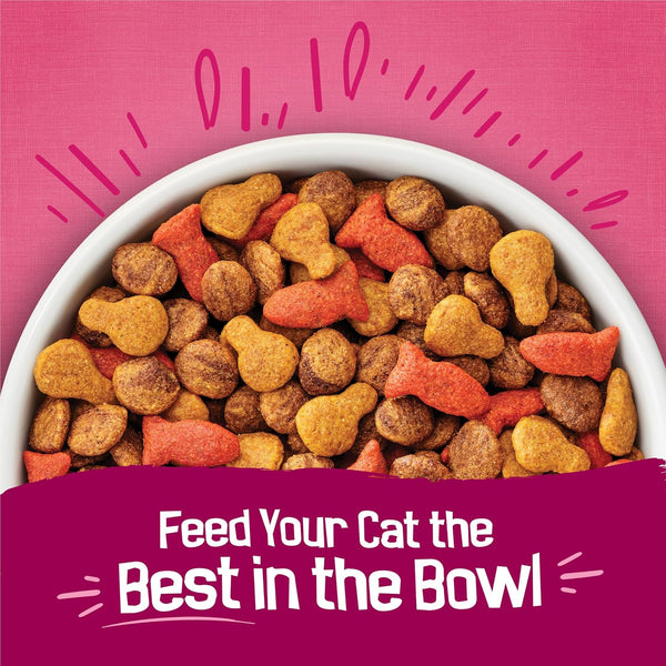Purina Friskies Gravy Swirlers with Flavors of Chicken, Salmon and Gravy Dry Cat Food - 3.15 Lb. Bag7