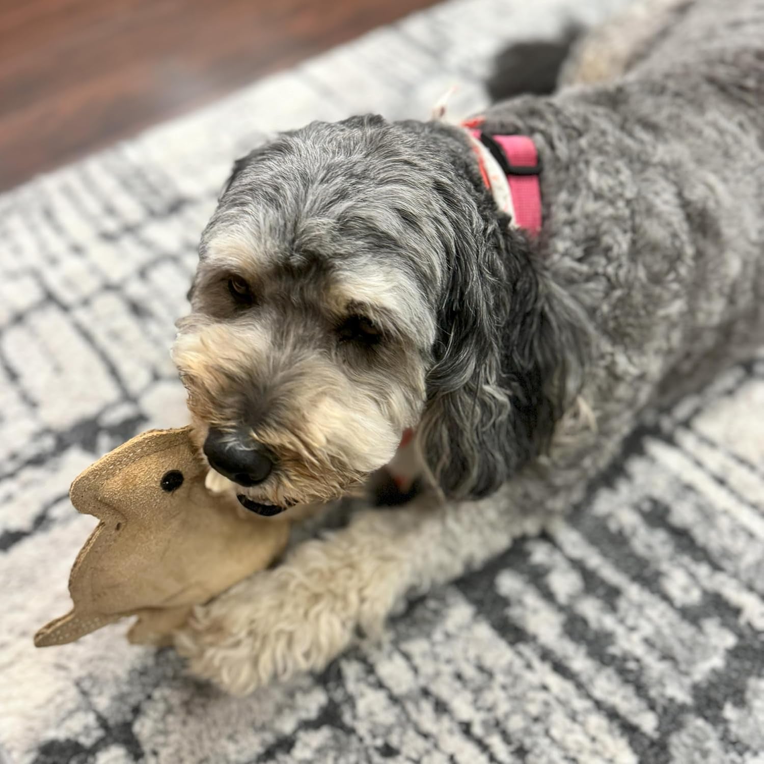 spot-dura-fused-leather-rabbit-dog-toy-durable-real-leather-jute-chew-toy-with-squeaker-double-stitched-for-moderate-chewers-small-medium-dogs-7-5in