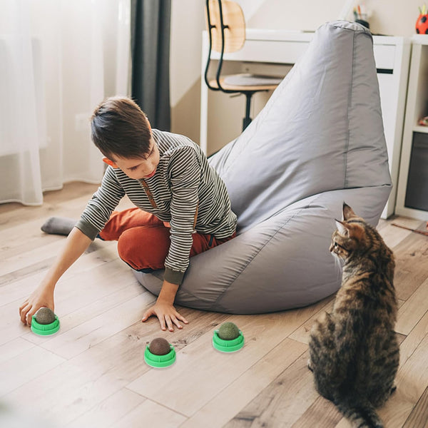CCINEE 3PCS Catnip Balls for Cats Wall Catnip Toys Edible Cat Toys for Cat Lick Safe Healthy Kitten Chew Toys Teeth Cleaning Dental Cat Toys7