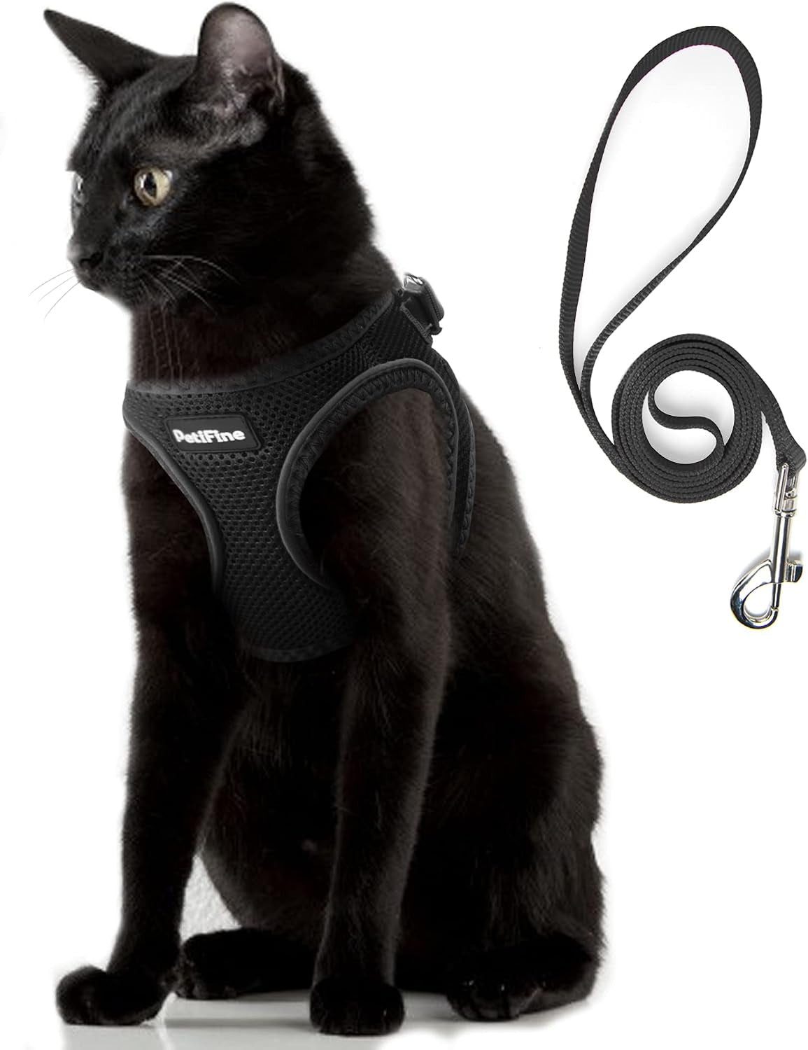 small-dog-harness-and-leash-set-breathable-step-in-puppy-cat-harness-xs-reflective-for-safe-easy-walking-soft-light-puppy-vest-escape-proof-no-pull-harness-for-dogs-all-weather-air-mesh-harness