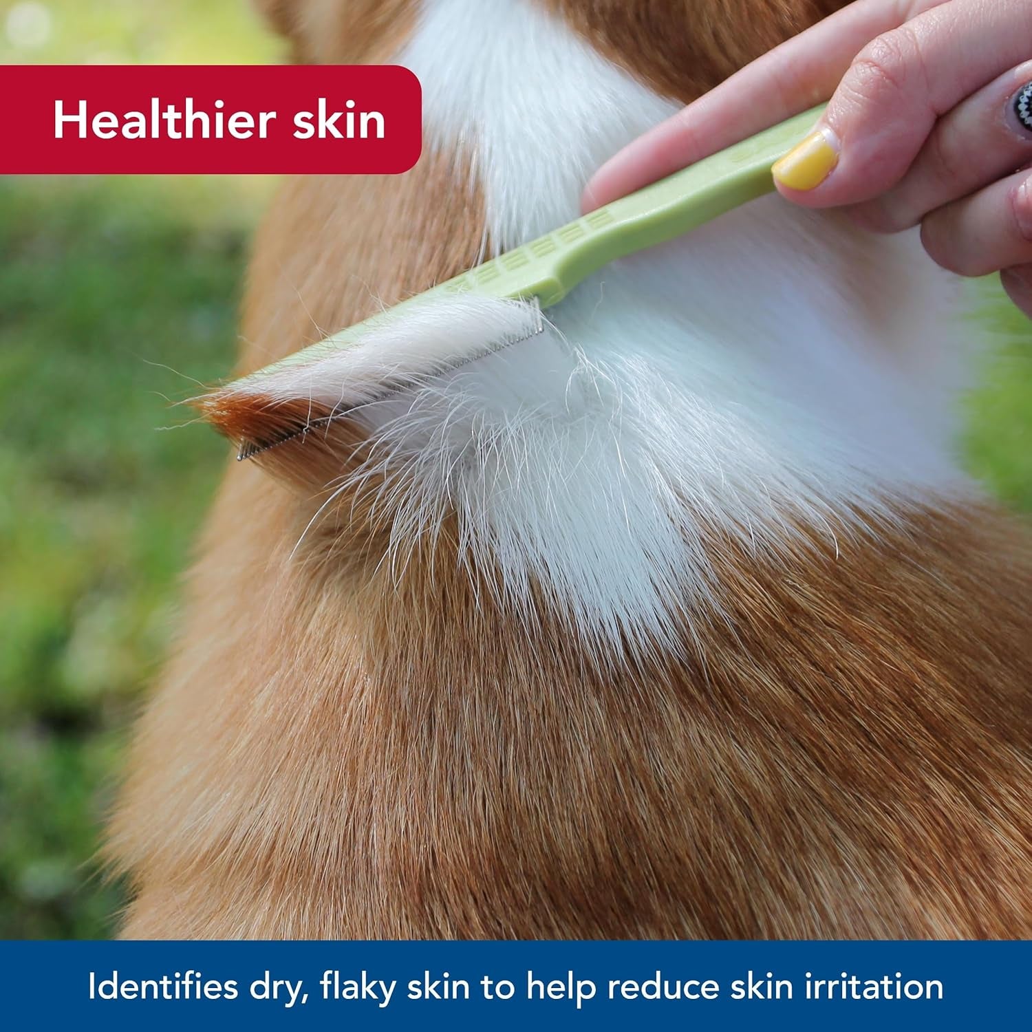 coastal-pet-safari-double-row-comb-helps-dry-skin-for-flea-prevention-and-detection-in-pets-with-short-and-long-hair