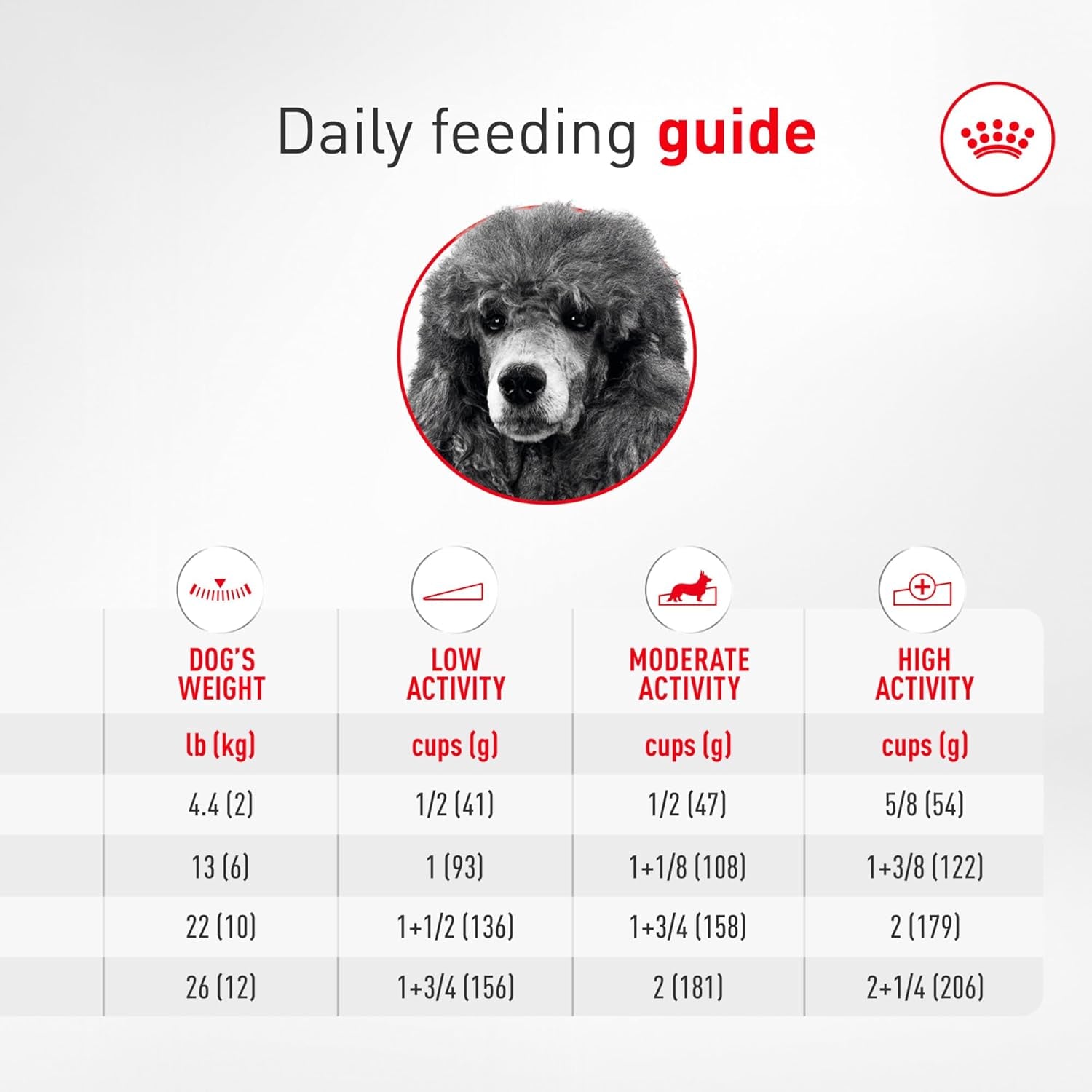 royal-canin-breed-breed-health-nutrition-poodle-adult-dry-dog-food