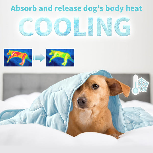 NWK Dog Cooling Blanket, Q-Max>0.345, Ice Silk Cool to Touch Material, Reversible Breathable Bed Cover, Furniture Protector Couch Sofa for Summer, Machine Washable (Ocean Blue, 30'' X 40'')2