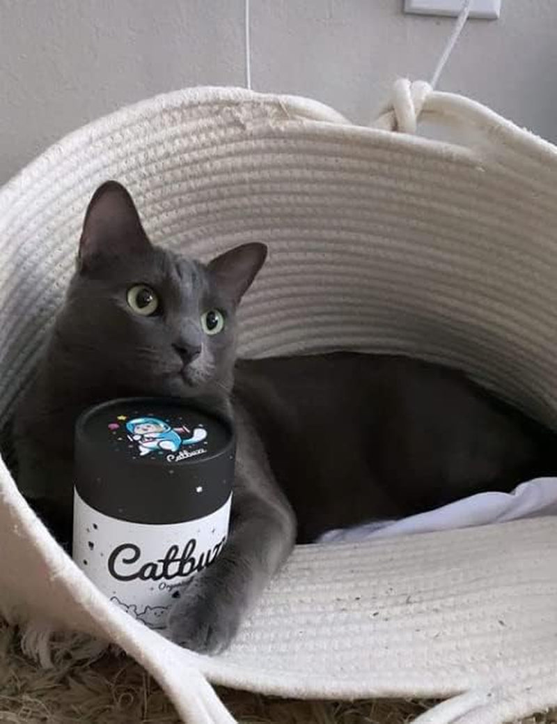 catbuzz-premium-and-organically-grown-catnip-fresh-grown-by-family-farmers-in-the-usa-all-natural-eco-friendly-sustainable