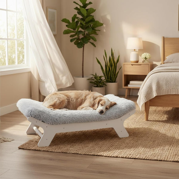 Muihood Elevated Wooden Dog Bed with Foam Mattress, Walnut, Large | Raised Dog Bed with Washable Cover, Supportive Foam Mattress, Perfect for Large Dogs and Indoor Living16