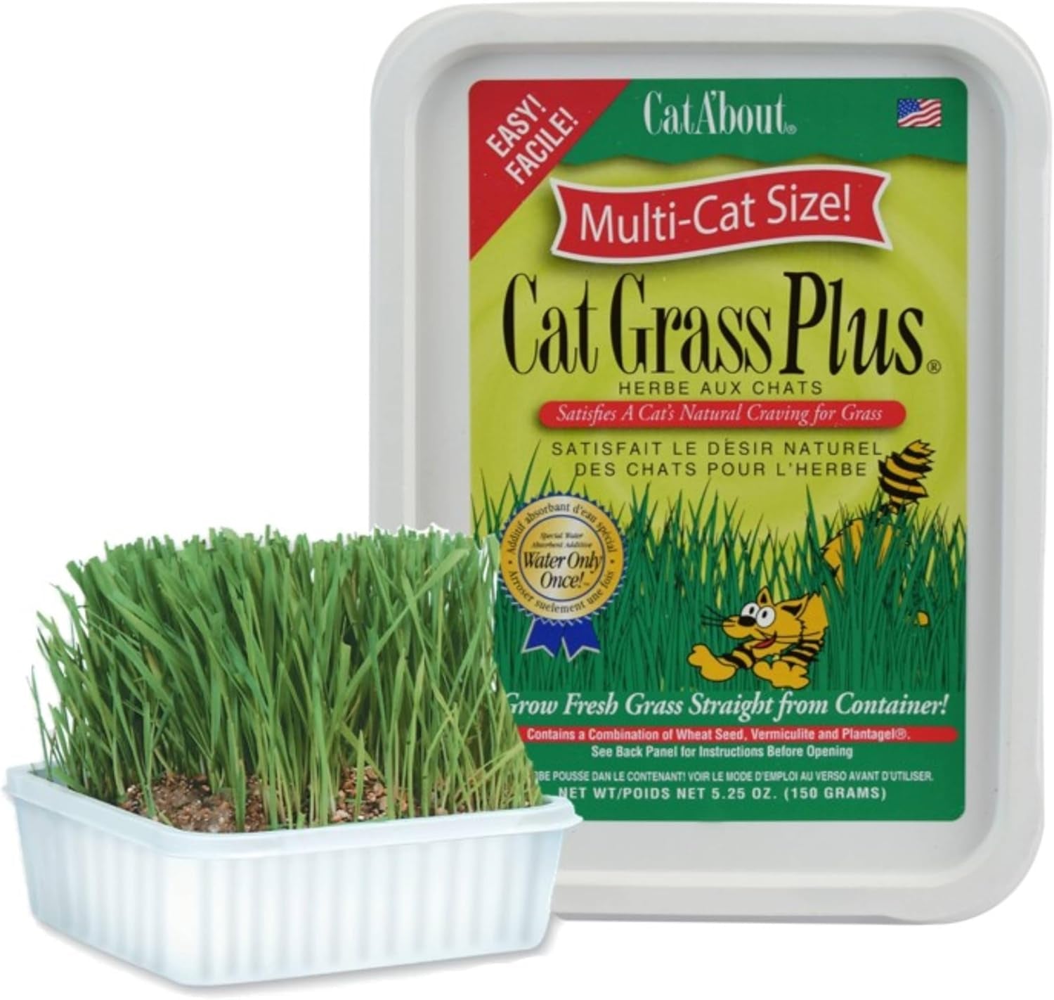 miracle-care-cat-about-cat-grass-kit-5-25-ounce-easy-to-grow-seeds-planter-for-indoor-cats-natural-fiber-aids-digestion-reduces-hairballs-freshens-breath-quick-growing