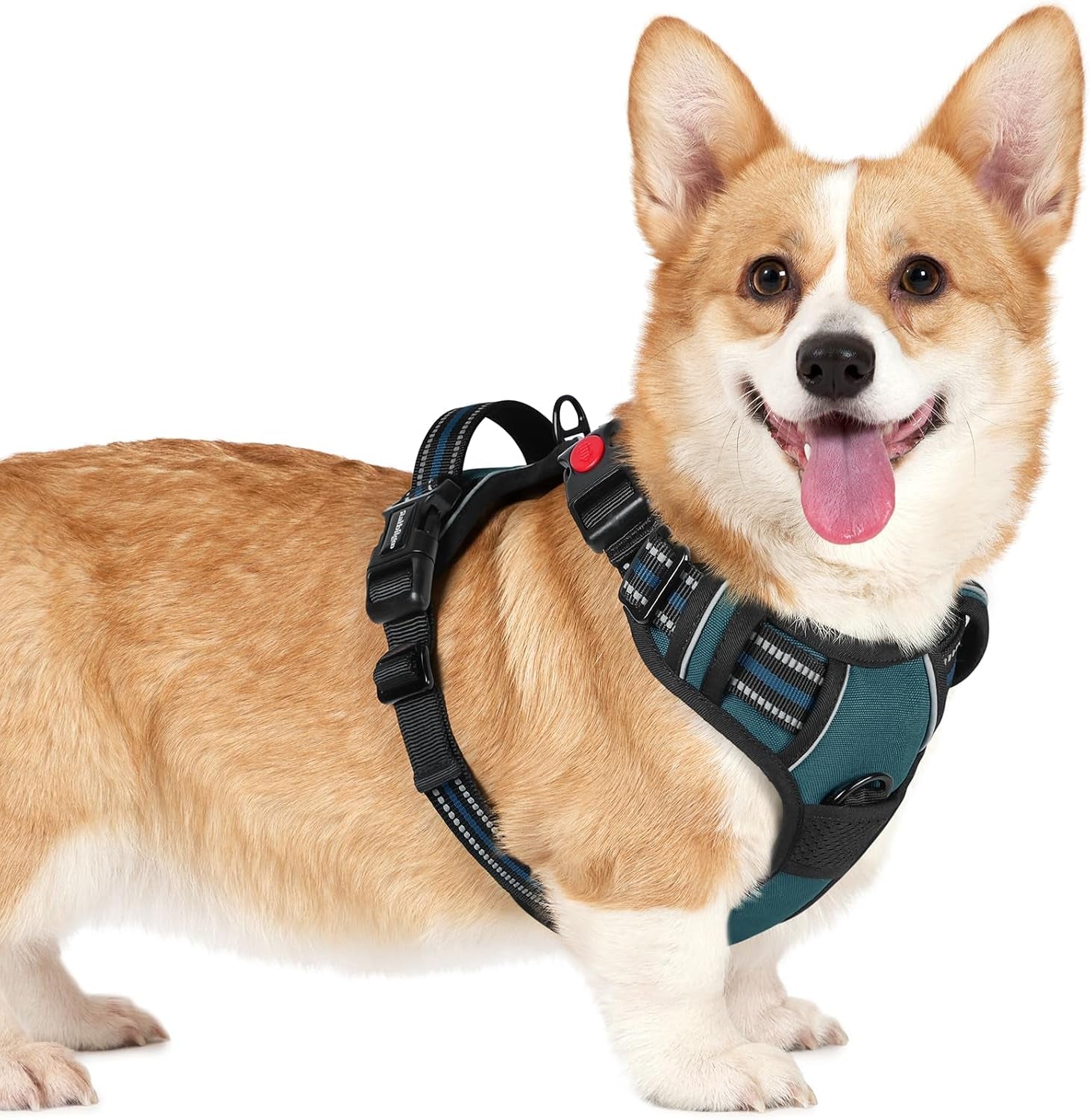 rabbitgoo-dog-harness-medium-sized-updated-easy-on-off-with-3-buckles-no-pull-no-choke-walking-with-2-clips-and-handle-adjustable-soft-reflective-blue-medium