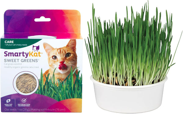 Smartykat Sweet Greens Organic Oat Grass All-In-One Cat Grass Grow Kit, Easy-To-Grow to Support Digestion & Hairball Reduction1