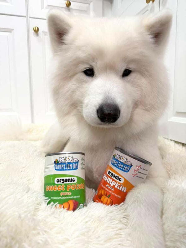 Nummy Tum Tum Organic Pumpkin Puree for Pets, 15 Oz (Pack of 12) | USA Grown Pumpkins, Supports Healthy Digestion for Cats & Dogs, Great for Food Toppers, Treats, & Recipes5