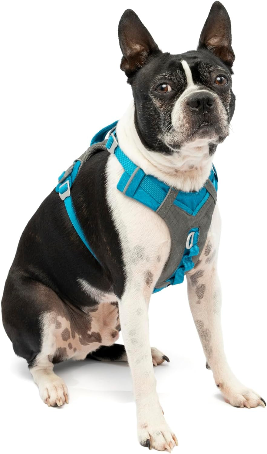 kurgo-journey-air-dog-harness-blue-small-padded-chest-ripstop-outer-breathable-mesh-back-assist-handle-rust-free-aluminum-hardware-reflective-trim