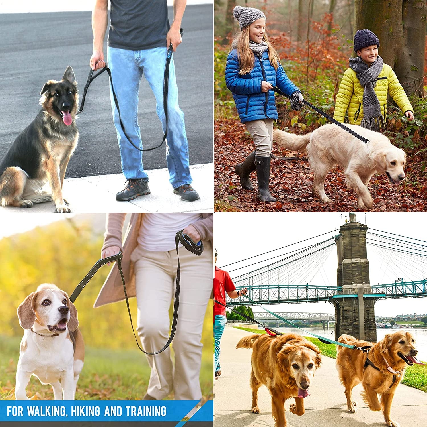 heavy-duty-dog-leash-2-handles-by-padded-traffic-handle-for-extra-control-6foot-long-perfect-for-medium-to-large-dogs-6-ft-black