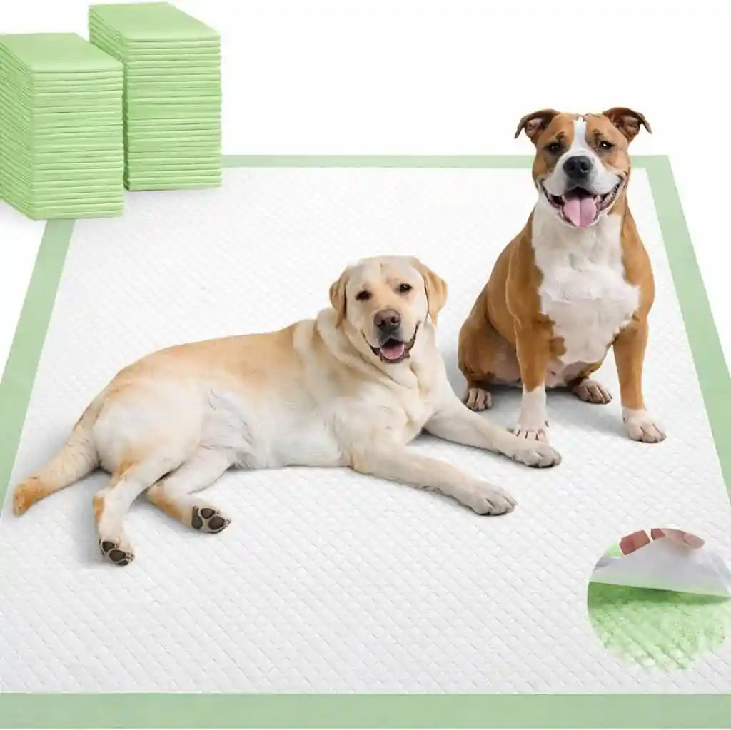 two-happy-dogs-on-large-absorbent-puppy-pads-with-green-border-ideal-for-pet-training-and-mess-control