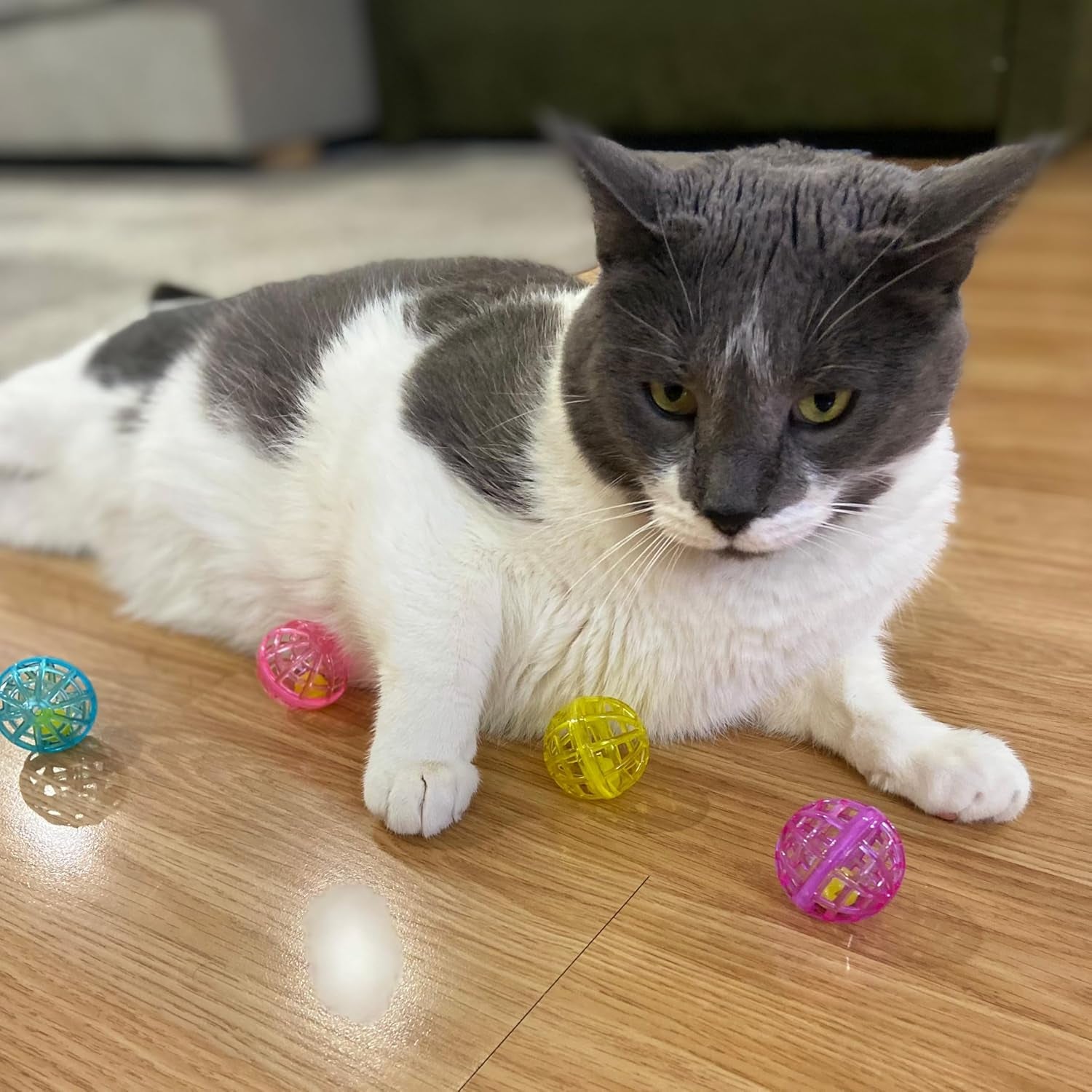 spot-lattice-balls-cat-toys-durable-fun-balls-with-bells-perfect-for-swatting-and-batting-colorful-toys-to-entertain-indoor-cats-and-kittens-1-5-inch-4-pcs