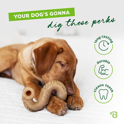 Benebone Tripe Bone Durable Dog Chew Toy for Aggressive Chewers, REAL Beef, Made in USA, Medium3