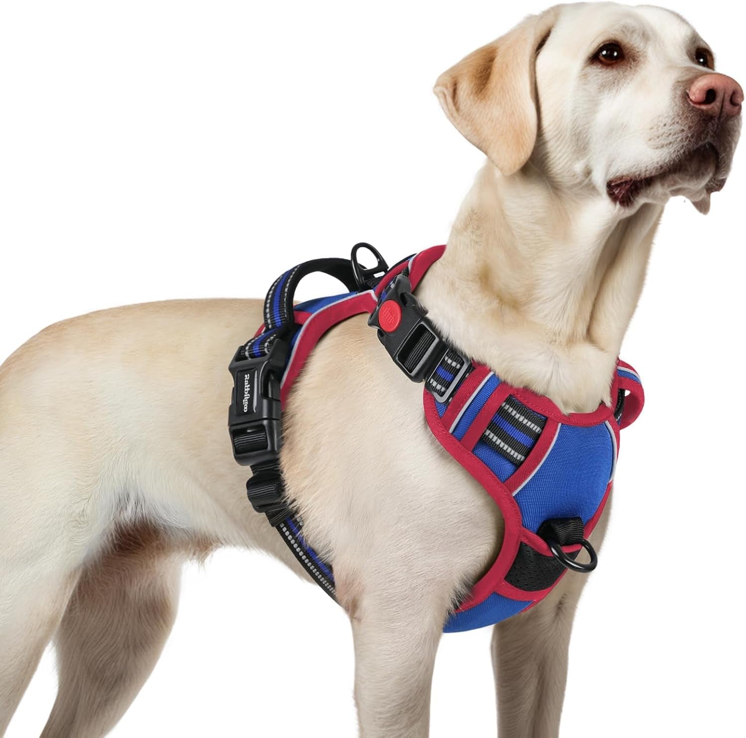 rabbitgoo-dog-harness-medium-sized-updated-easy-on-off-with-3-buckles-no-pull-no-choke-walking-with-2-clips-and-handle-adjustable-soft-reflective-blue-medium
