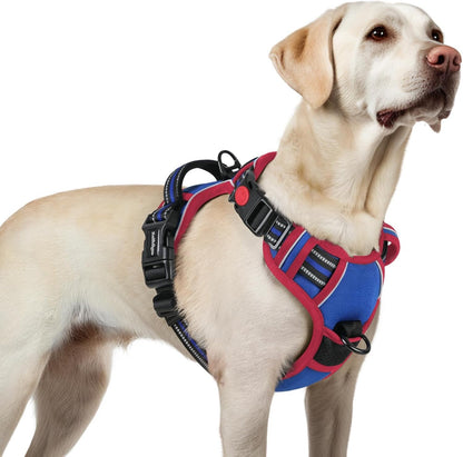 Rabbitgoo Dog Harness Medium Sized, Updated Easy on & off with 3 Buckles | No Pull No Choke, Walking with 2 Clips and Handle, Adjustable Soft Reflective, Blue, Medium48