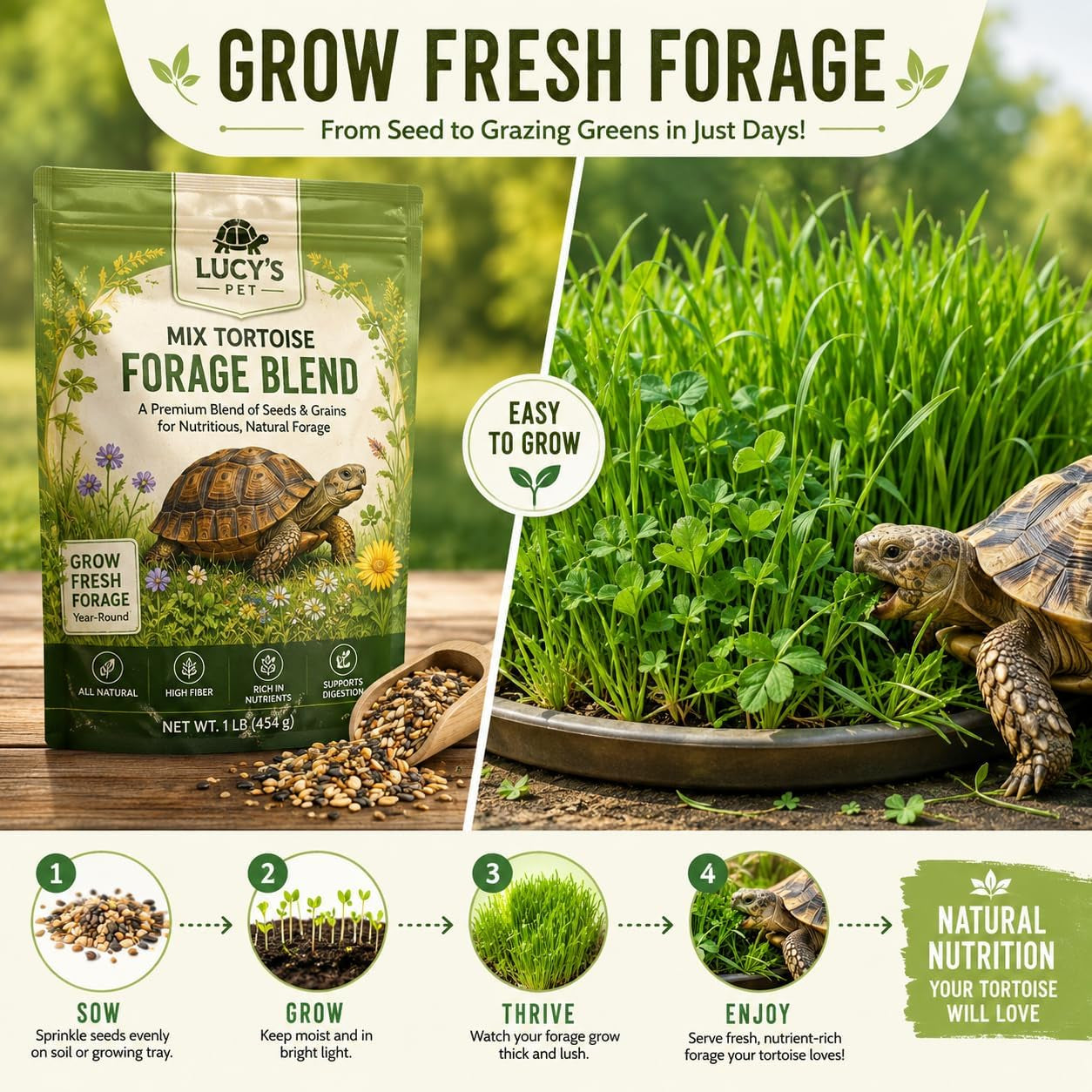 tortoise-forage-seed-mix-grow-fresh-grazing-greens-for-sulcata-russian-hermanns-tortoises-oats-rye-alfalfa-blend-for-indoor-trays-or-outdoor-enclosures-non-gmo-seed-1-lb