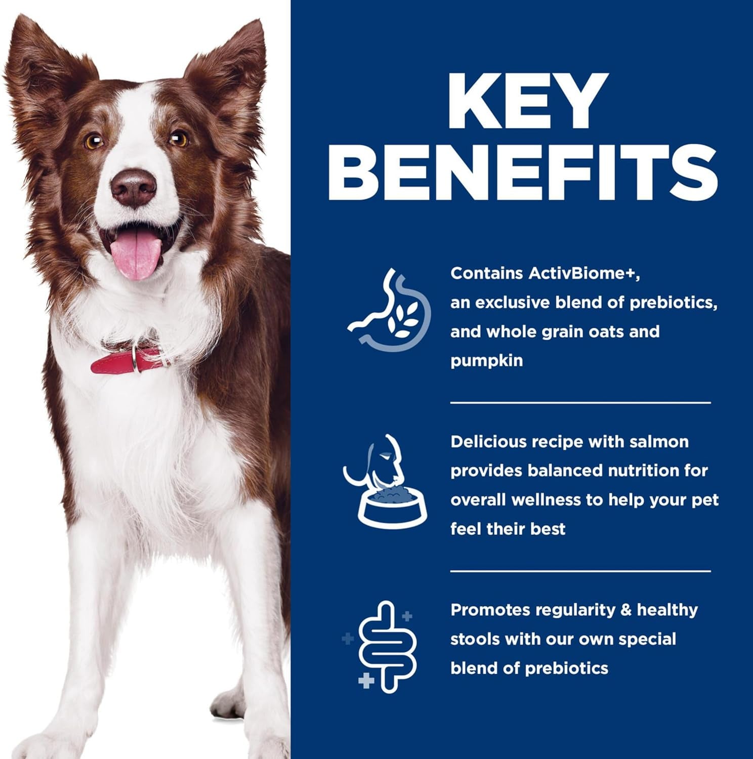hills-science-diet-adult-1-6-perfect-digestion-dry-dog-food-1-veterinarian-recommended-salmon-whole-oats-brown-rice-22-lb-bag