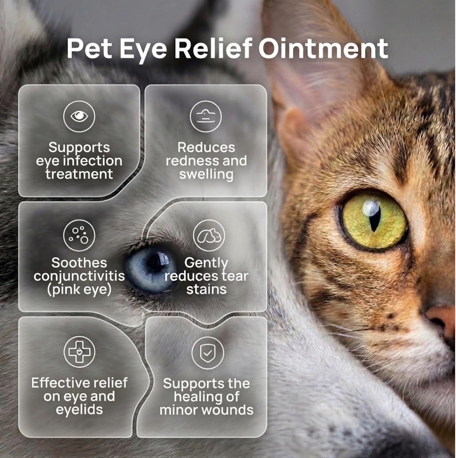 pet-eye-cream-vet-formulated-dog-eye-infection-treatment-pink-eye-relief-conjunctivitis-relief-dry-eyes-red-eye-tear-stain-remover-for-dogs-cats-cattle-sheep-horses-1-tube