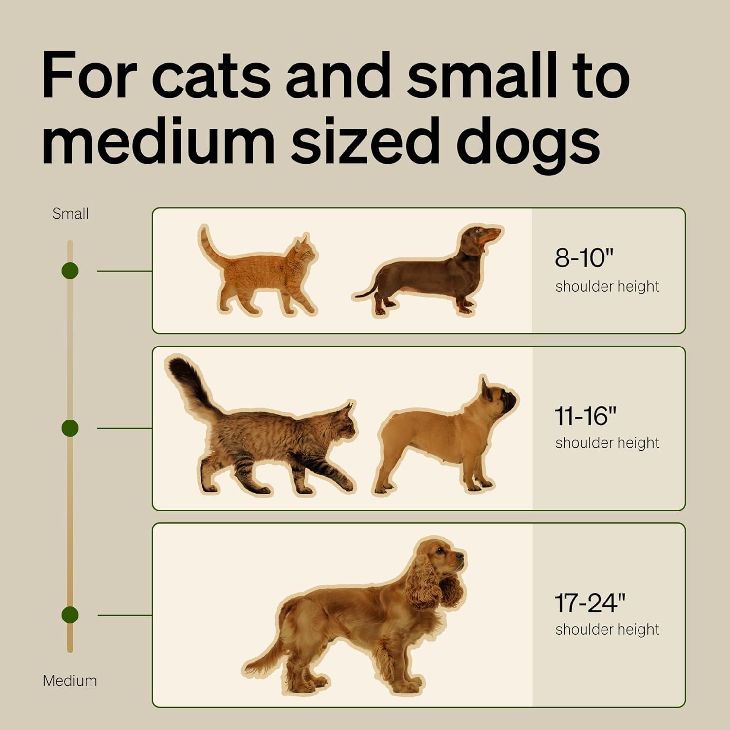 petlibro-slow-feeder-bowl-for-small-dogs-cats-1-125-cup-anti-gulp-stainless-steel-dog-cat-bowl-helps-reduce-risk-of-bloat-dishwasher-safe-compatible-with-petlibro-camera-automatic-feeder