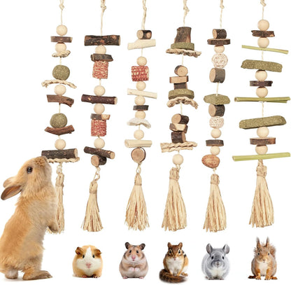 6PCS Hanging Bunny Chew Toys, Natural Apple Wood Rabbit Chews | Teeth Grinding & Dental Health, Small Animal Wooden Cage Toy for Guinea Pigs, Hamsters, Chinchillas, Ferrets, Rats, Gerbils1