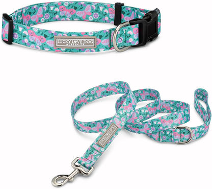 Lucky Love Dog - Easy Click Buckle Dog Collar with Leash Set Combo, Durable & Comfortable for Male & Female Dogs, Pet Collar for Medium Dogs, Secure Fit - Blackbird Combo, Medium23