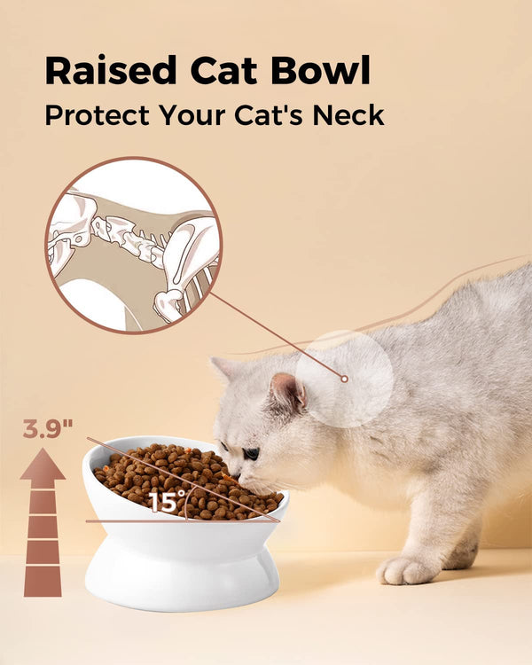 Loejan Elevated Cat Food Bowl, 5 Oz Ceramic Raised and Tilted Water Bowl, anti Vomiting and Protect Pets' Spines Dishes for Small Dog, Fat Faced Cat, Kitten (White, 1 Pack)5