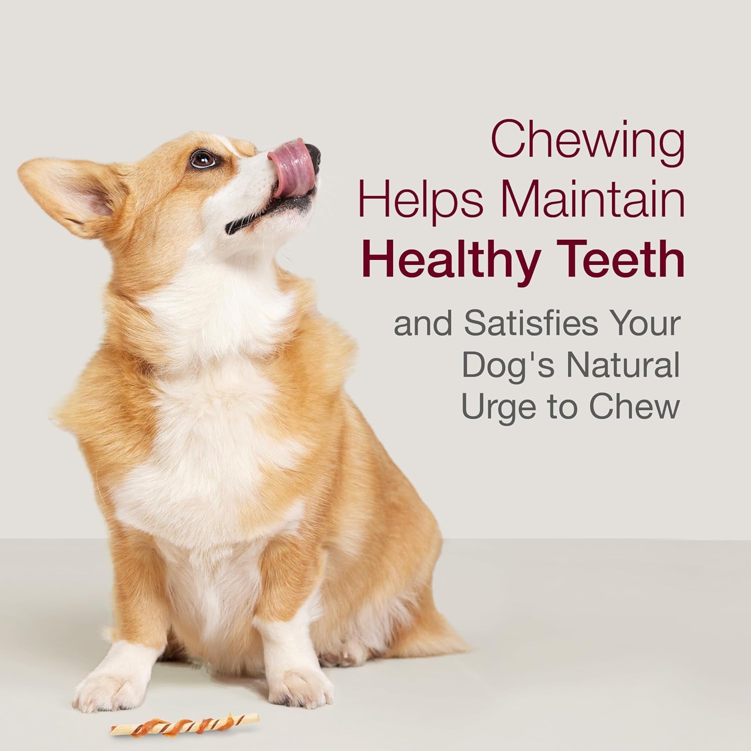 smartbones-smartchips-rawhide-free-dog-treat-real-peanut-butter-12-count-with-real-peanut-butter-chicken-easy-to-digest-chew-vitamin-mineral-enriched-supports-dental-health-for-small-dogs