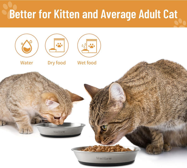 Cat Bowls, 2 Pcs Stainless Steel Cat Bowls for Food and Water, Whisker Fatigue Shallow Non-Slip Dishes Plates for Small Dog Puppies Cats5
