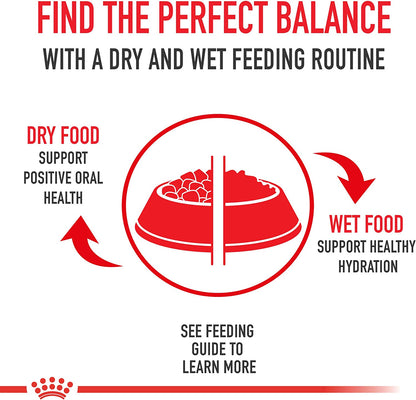 ROYAL CANIN Feline Health Nutrition Adult Instinctive Adult Loaf in Sauce Cat Food, 3 Oz (Pack of 24)7