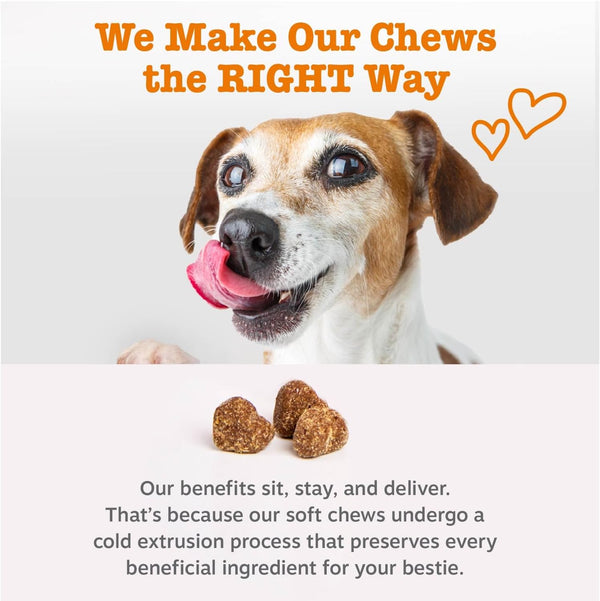 Zesty Paws Multi Collagen Soft Chews for Dogs - for Hip, Joint & Cartilage Support + Skin Health - with Collagen - plus Eggshell Membrane, Vitamin C & Hyaluronic Acid - 90 Count6