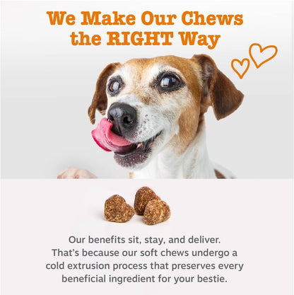 Zesty Paws Turmeric Curcumin for Dogs - for Hip & Joint Mobility Supports Canine Digestive Cardiovascular & Liver Health - Coconut Oil for Skin Health with 95% Curcuminoids + Bioperine Bacon, 90 Count7