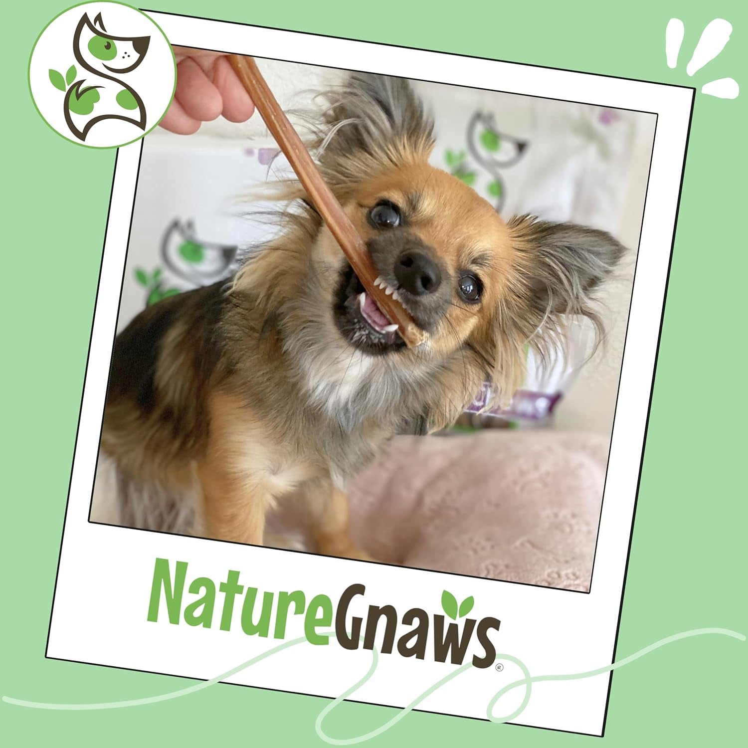 nature-gnaws-extra-thin-bully-sticks-for-small-dogs-5-6-10-count-long-lasting-for-light-chewers-and-puppies-natural-beef-dog-chew-bones