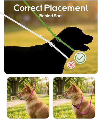 Tagme Slip Lead for Dogs, No Pull Training Leash, Padded Handle (Hot Pink) | Braided Climbing Rope, Reflective Stitching, 6 Ft, Fits Small to Large Dogs up to 250 Lbs, Cushioned Grip, No Leash Burn3