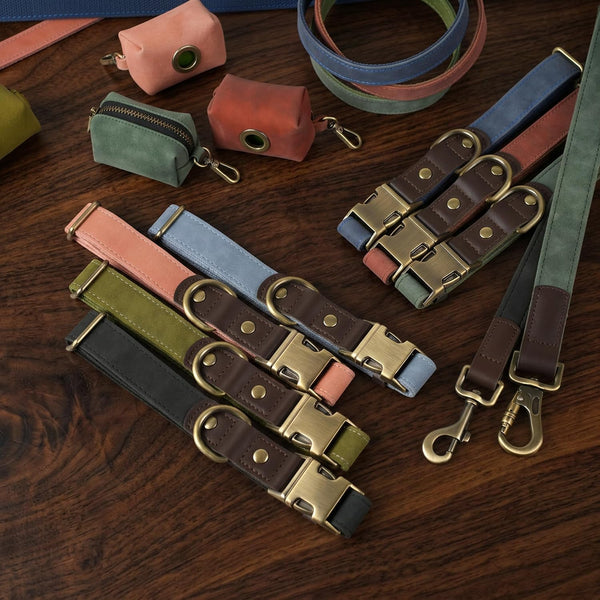 Didog PU Leather Dog Collar for Small Dogs Puppy, Soft Lining, Green S | All-Day Comfort for Daily Walks and Backyard Play, Quick Release Metal Buckle for Easy on & Off, D-Ring for Leash, Easy Clean7