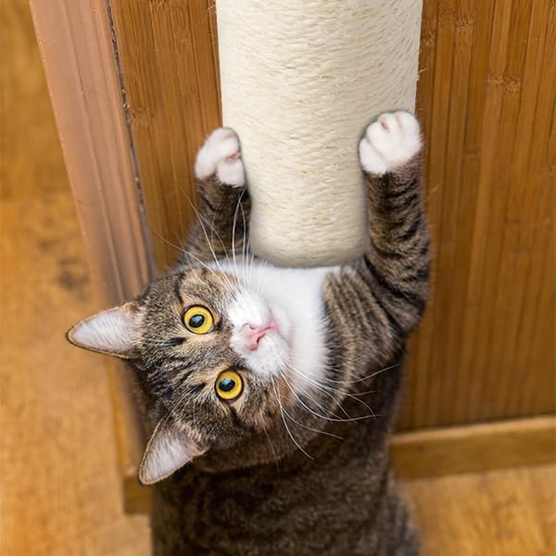bebobly-wall-mounted-cat-scratching-post-for-indoor-cats-kitten-wall-shelves-climbing-furniture-sisal-rope-cat-claw-scratcher-tree-solid-wooden-walkway-for-cage-mounted-climbing-relaxing