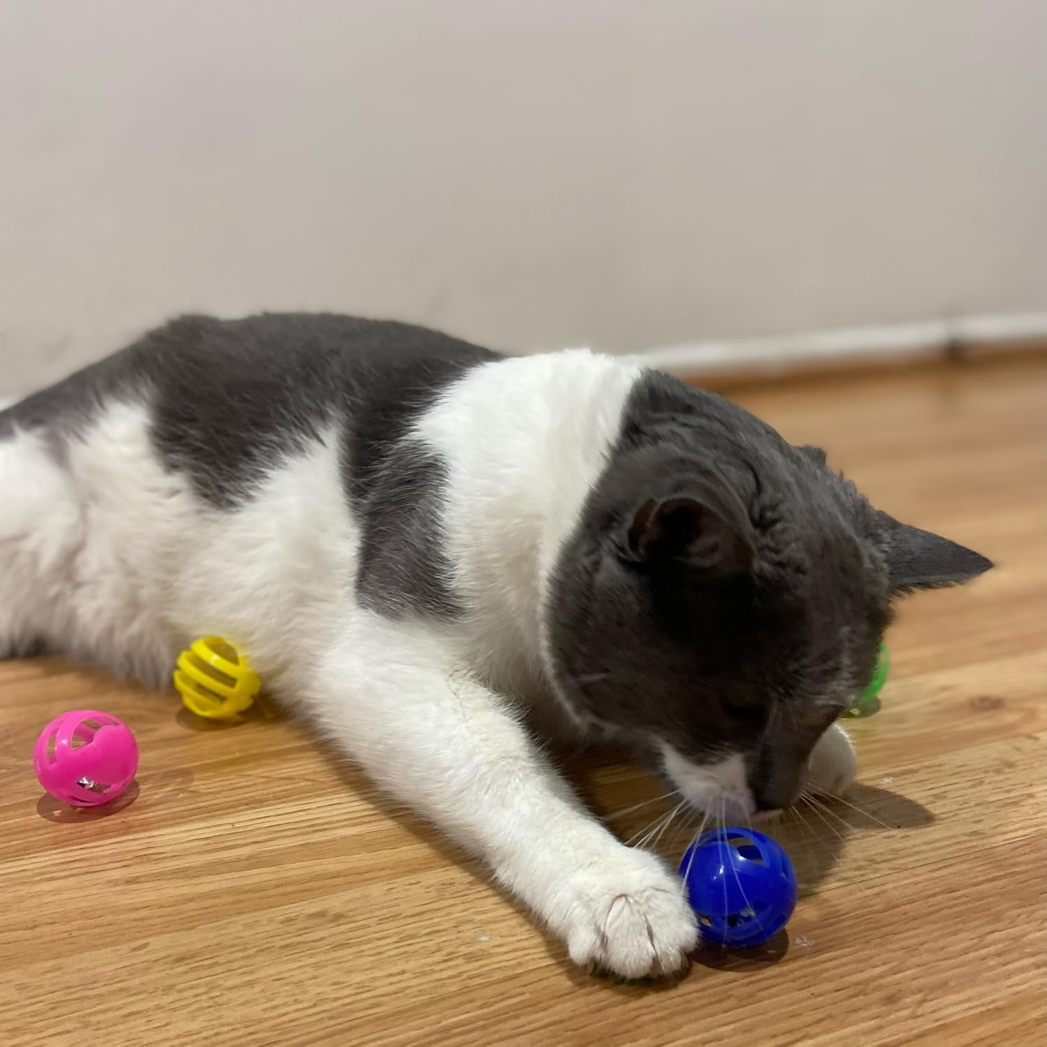 spot-slotted-balls-cat-toy-interactive-cat-toys-for-indoor-cats-to-chase-hunt-and-stimulate-jingle-bell-inside-for-sound-when-batted-around-safe-and-non-toxic-1-5-assorted-4-pack