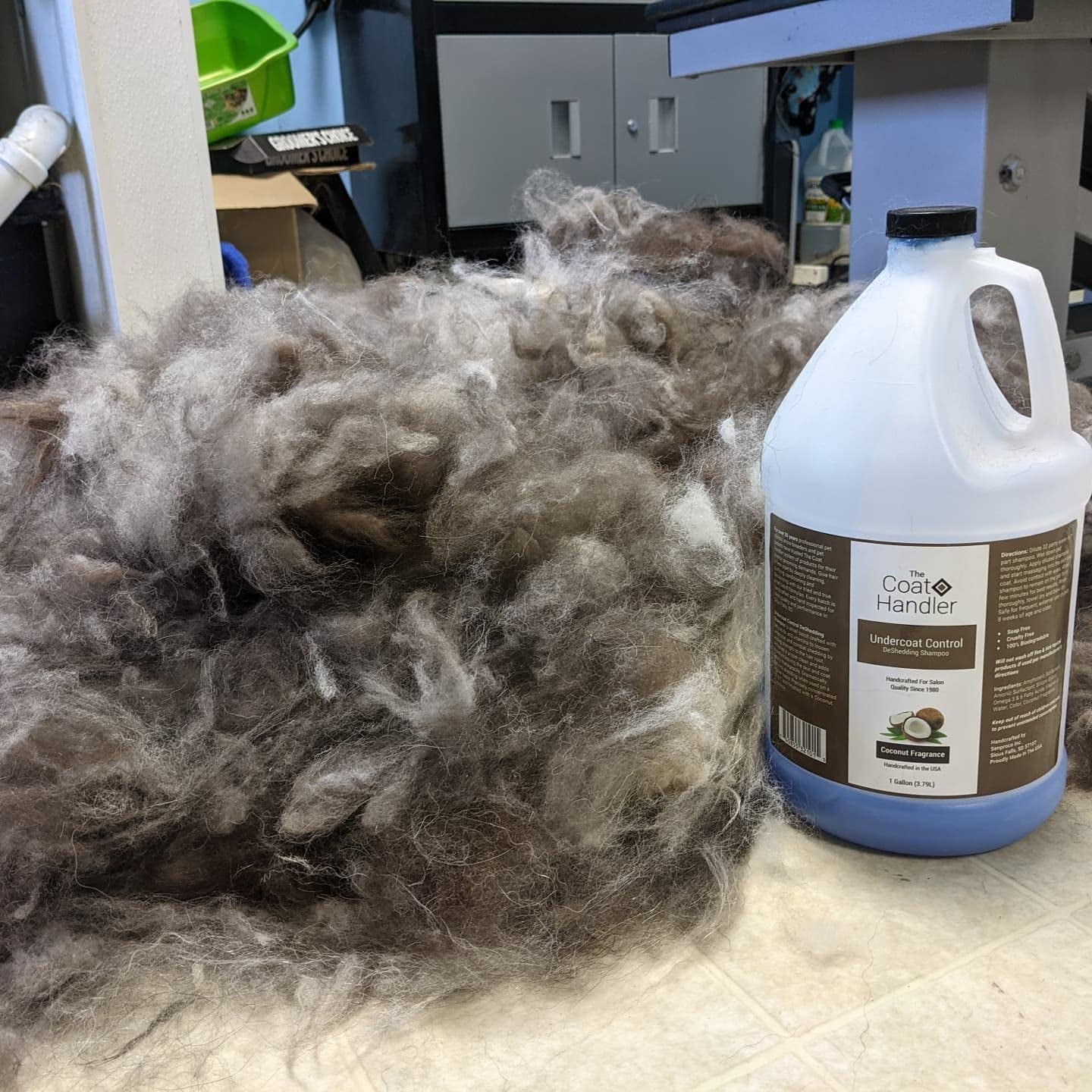 the-coat-handler-deshedding-dog-shampoo-for-shedding-undercoat-1-gallon-32-1-concentrate-coconut-oil-and-omega-3-strengthen-hair-roots-moisturizing-pet-grooming-wash-groomer-grade-usa-made