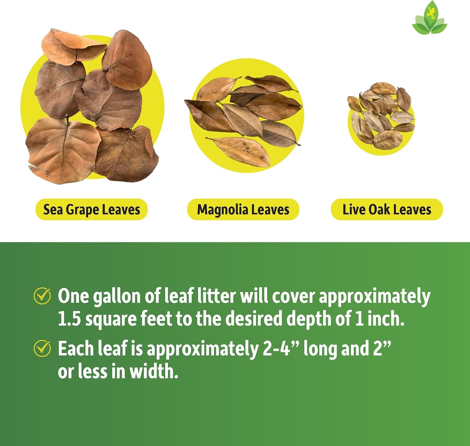 joshs-frogs-organic-live-oak-leaf-litter-1-gallon-500-leaves-usa-collected