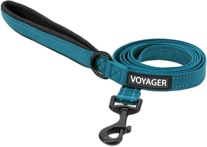 Best Pet Supplies Voyager Nylon Dog Leash - Fuchsia, Small | 5Ft in Length, 5/8" in Width, Reflective, Soft Neoprene Handle, Heavy Duty Metal Clips for Running, Walking & Training34