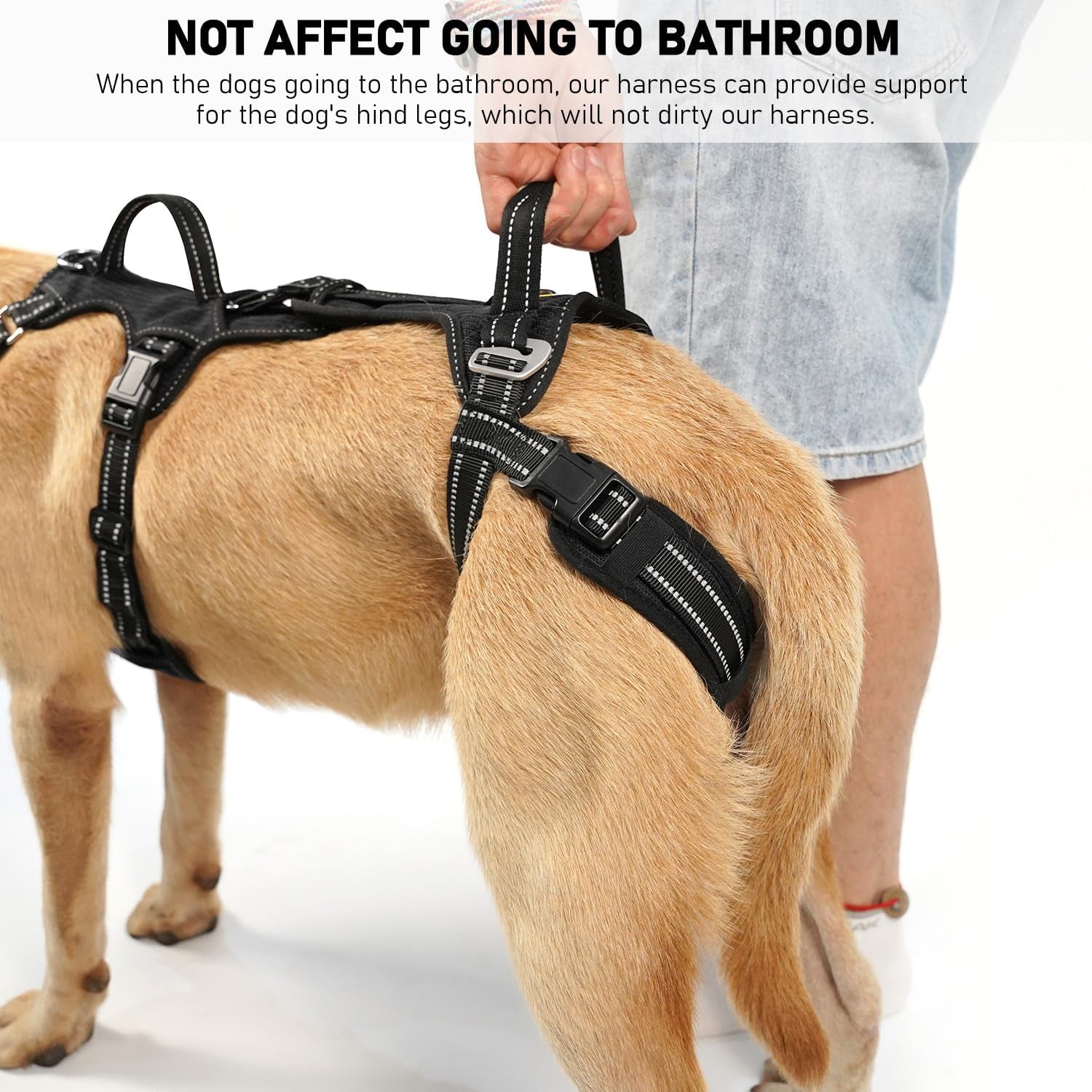 coodeo-mobility-dog-lift-harness-support-sling-walking-sling-for-dogs-pet-rear-leg-rehabilitation-support-vest-dog-carrier-for-senior-dogs-with-joint-injuries-arthritis-up-stair-black-l