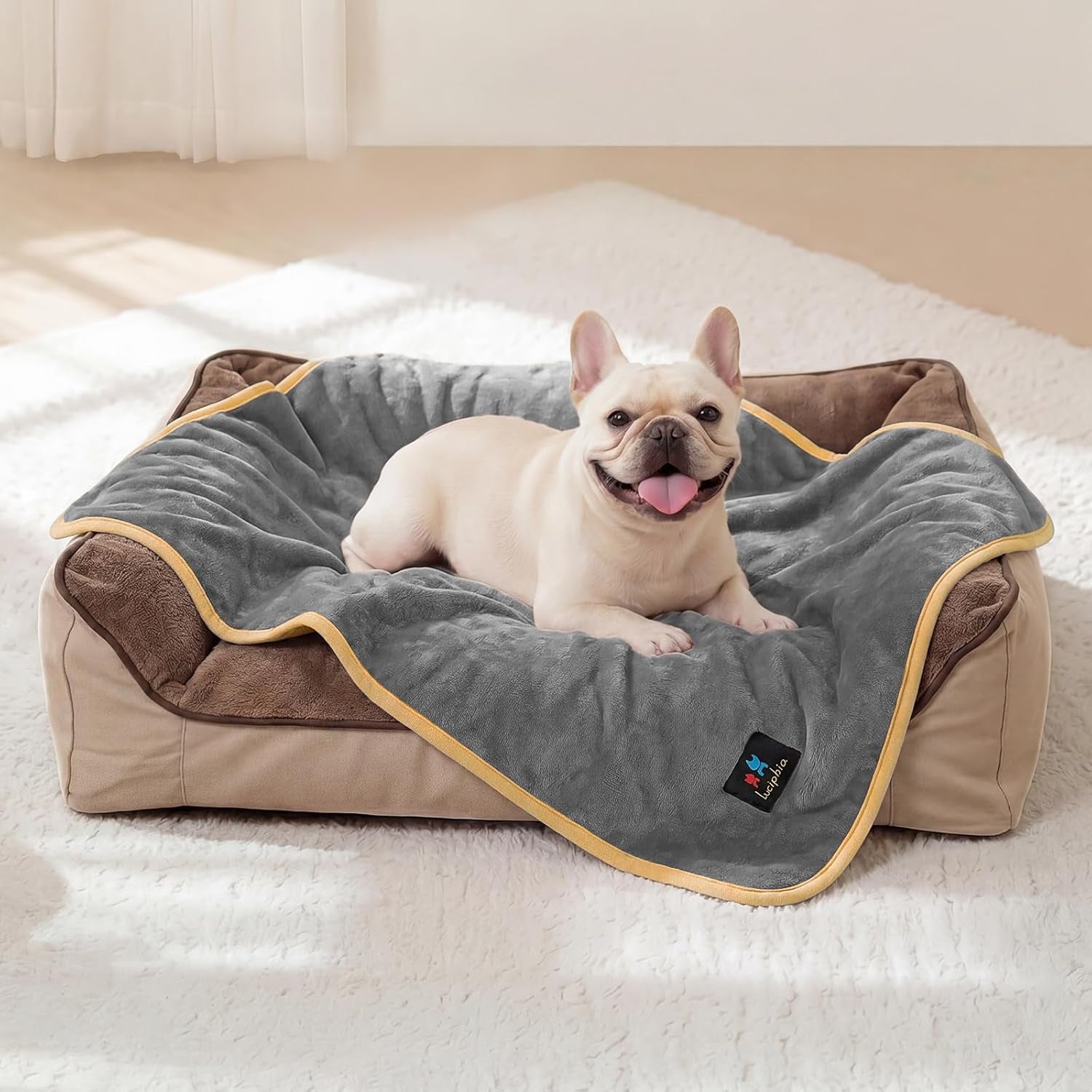 luciphia-waterproof-pet-blanket-washable-reversible-sherpa-fleece-throw-liquid-proof-furniture-protector-for-bed-and-couch-soft-reversible-sherpa-fleece-for-dogs-cats-grey-xs