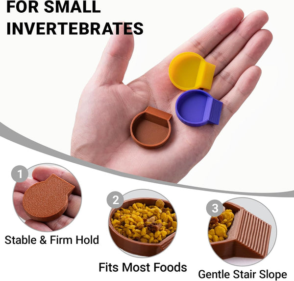 12-Pack Feeding Dish for Invertebrates – Feeder Bowls for Dubia Roaches, Isopods, Springtails, Superworms, Small Insects & More – Mini Bowls for Reptile Food & Supplements2