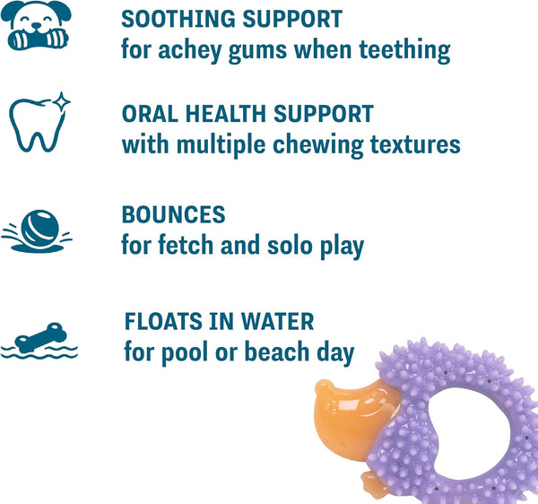 Cutie Chewies Hedgehog Dental Dog Chew Toy — Multi-Textured, Massages Gums, Floats & Bounces for Teething Puppies & Small Dogs, 5" X 3.5" X 1"3