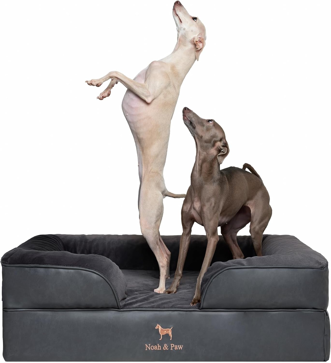noah-paw-large-dog-bed-35x25x11-inch-orthopedic-dog-beds-eggshell-memory-foam-infused-with-cooling-gel-inner-cover-water-resistant-machine-washable-faux-leather